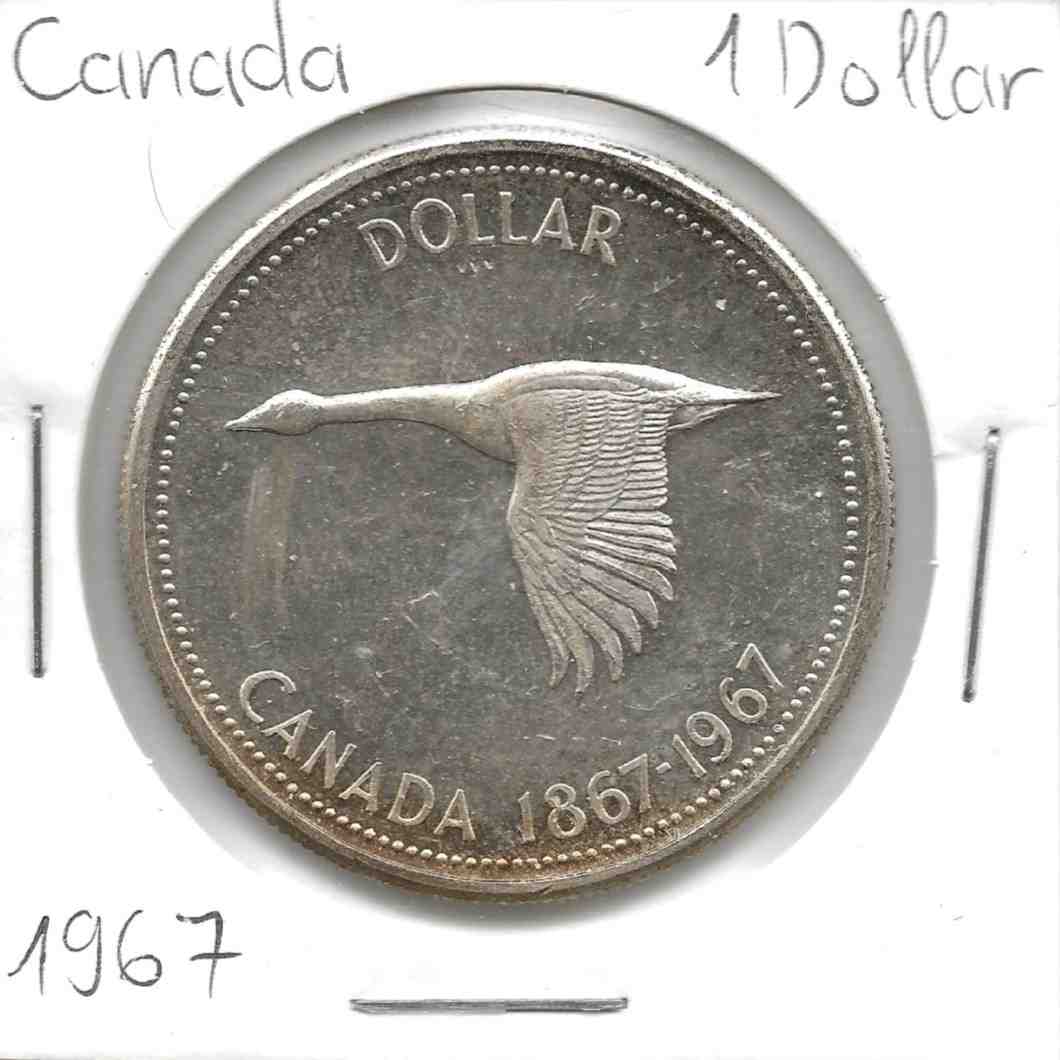1 Dollar Back